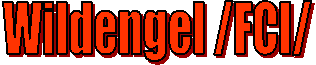 Wildengel /FCI/